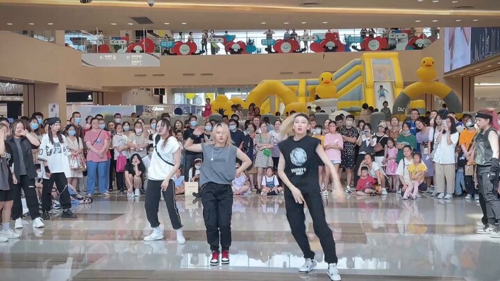 【Stayzoo】You are a fan of Easy's first national road show! Easy is not easy at all, and you will die