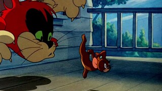 "Mỗi ngày một lần, ngăn ngừa trầm cảm" Spike: Không sao đâu, tôi sẽ hành động #Tom và Jerry #Phim ho