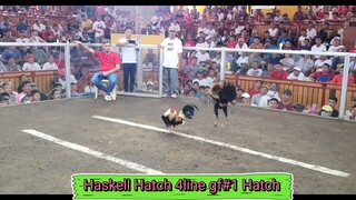 Haskell Hatch Super deep Cutting, #1 Hatch at 4line GF