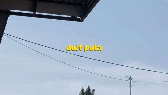 semangat