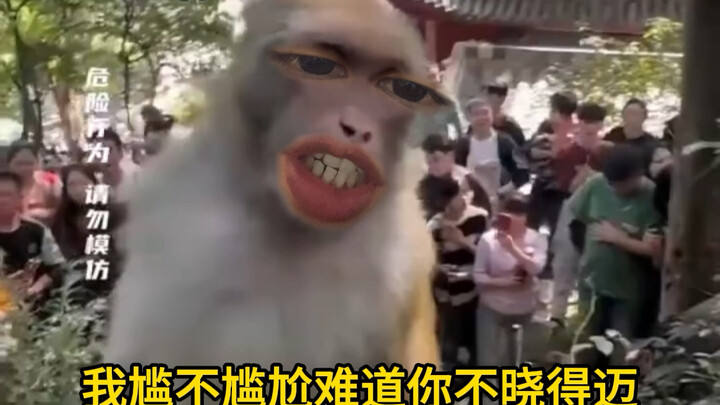 我尴不尴尬你难道不晓得迈？我真是服了