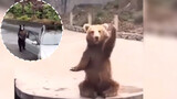 Panda: come here, here!
