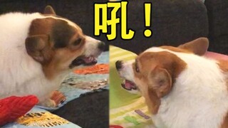 我为了开口吵架吵赢你，还去找老师学习了吵架秘技...