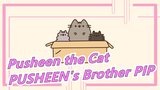 [Pusheen the Cat]All About PUSHEEN's Brother PIP