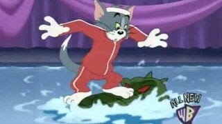 341   Cat Show Catastrophe [2007]