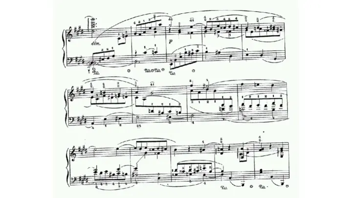 Leopold Godowsky - 3 Piano Pieces Op. 14 (VIDEO REQUEST)