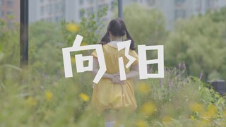 【伴柏】向阳