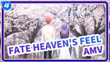 [Fate/Stay Night: Heaven’s Feel AMV], Tình yêu như hoa anh đào, mùa xuân trùng phùng_4