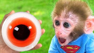 Monkey Baby Bon Bon eats Eyeballs Jelly with puppy and playing with duckling