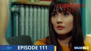 Forbidden Fruit Episode 111 | FULL EPISODE | TAGALOG DUB | Turkish Drama