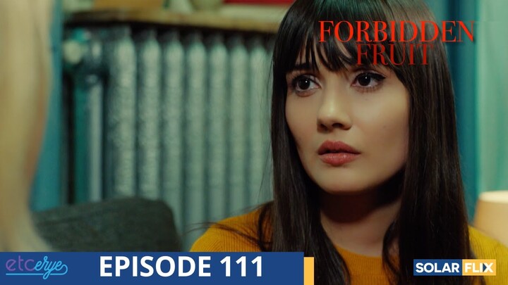 Forbidden Fruit Episode 111 | FULL EPISODE | TAGALOG DUB | Turkish Drama