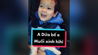 Dứa với Muối xinh ko cả nhà Hihi cunyeucuadua chó chócon chókhôn chócute xuhuong fyp