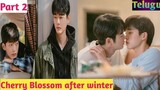 Cherry Blossom after winter Part-2 || Korean bl drama explanation in Telugu ||