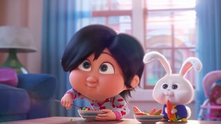 The Secret Life of Pets: The contrast between the rabbit Xiaobai and the house pet