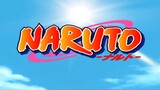 Naruto Episode 193