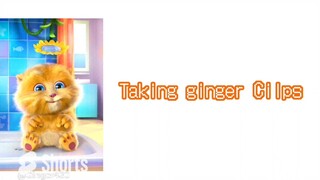 Update 2024 Talking Ginger Cilps New Video