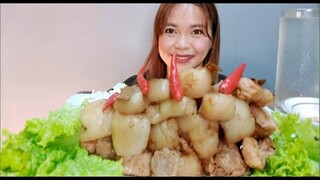 ADOBO SA PUTI NA BABOY MUKBANG