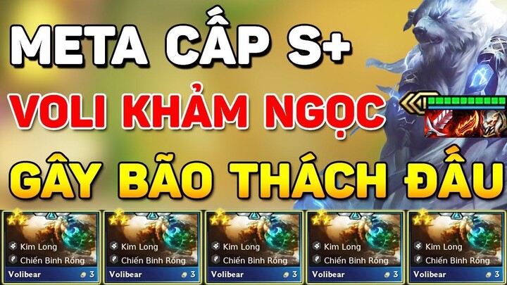 GIẢI MÃ META VOLIBEAR KHẢM NGỌC ĐANG GÂY BÃO THÁCH ĐẤU TRUNG QUỐC VÌ QUÁ MẠNH