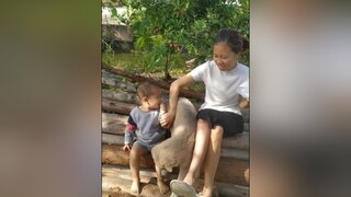 Bông về nhà mình từ tối qua rồi nhé. cunyeucuadua yeucho yeuchomeo cún cúncon chó chómèo chócon chókhôn yeuchomeo chócute dogsoftiktok