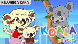 KOALA - Kartun Lucu | Lagu Anak Indonesia | Belajar Mengenal Hewan