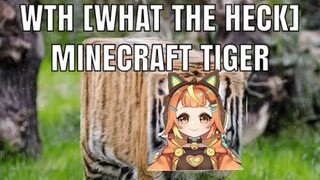 Bủh Bủh Lmaocraft