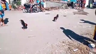 😱😱😱👍