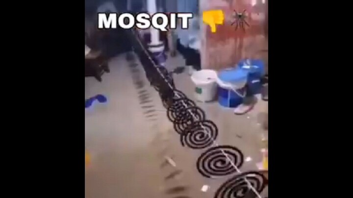 How to handle Mosquito 🦟 😁💯
