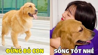 Duomi | Mẹ Không Thể Ở Bên Duomi Nữa Rồi, Và Lý Do Thực Sự Thì 😥 Gâu Đần Official