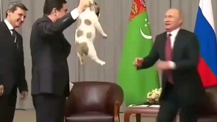 Putin senang dengan anjing lain