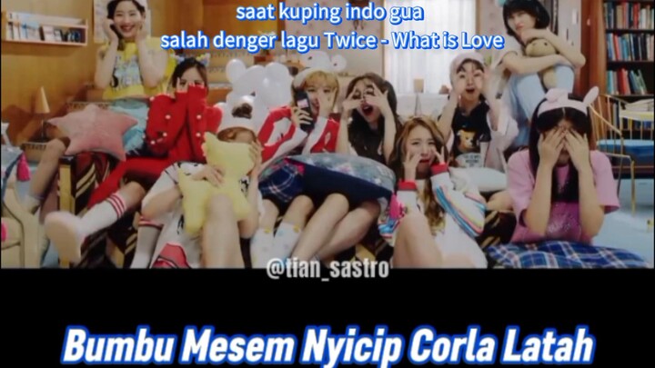 misheard lagu Twice - What is Love