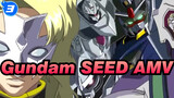 Rau Le Creuset|Gundam SEED AMV_3