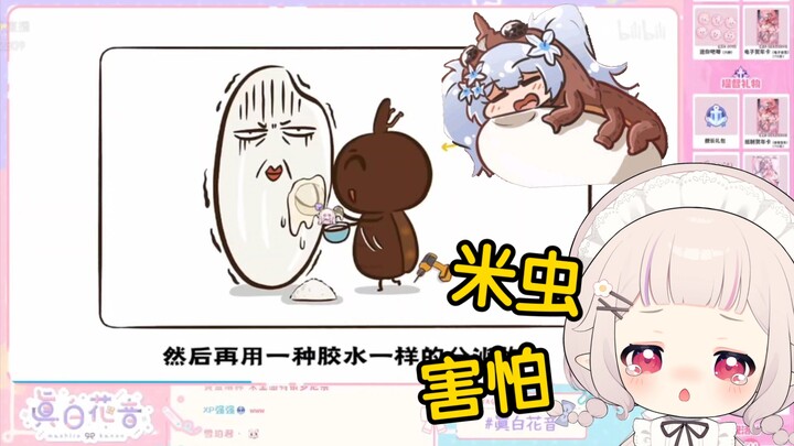 日本萝莉看《大米里的黑色小虫子，是从哪里冒出来的?》当场绷不住了！“害怕，这个棕色的洞，是米虫的出口？！！！”