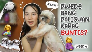 ANO ANG VITAMINS NG BUNTIS NA ASO? PWEDE BA SILANG PABAKUNAHAN HABANG BUNTIS? 🤔 (BUNTIS UPDATE)