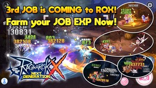 3rd Job Preparation, JOB XP Farming, 3rd job In Action [ROX]