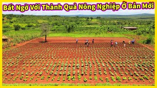 Bản Lomada Tập 3 || Thành Quả Nông Nghiệp Rực Rỡ Của Bản Mới - Một Màu Xanh Của Tương Lai