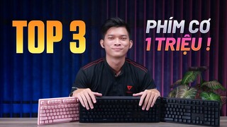 Bàn phím cơ GIÁ 1 TRIỆU? TOP 3 luôn nè nha!!!