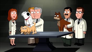 Family Guy: Brian เข้าร่วมการประกวดความงามของสุนัขเพื่อดึงดูดเด็กผู้หญิง แต่ถูกเฆี่ยนตีตายในที่สาธาร