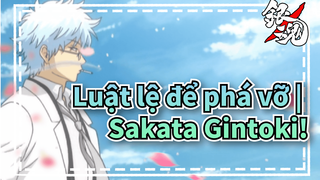 Luật lệ để phá vỡ |  Chúc mừng sinh nhật!Sakata Gintoki!