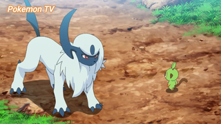 Pokemon (Short Ep 64) - Pokemon: Absol #pokemon