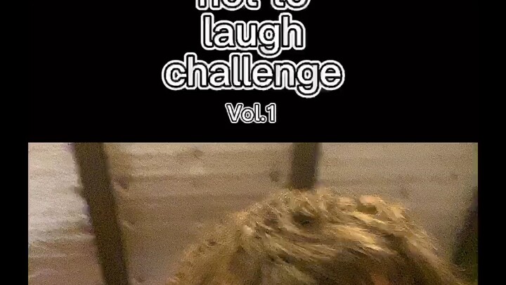 Try not to laugh