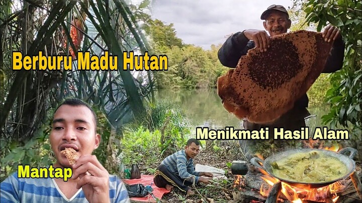 Berburu Madu Hutan || Cara Tradisional Mengambil Madu Hutan Liar... Menikmati Hasil Alam