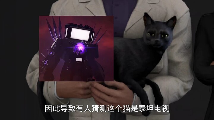 对于泰坦电视是不是猫这个问题，你们怎么看？