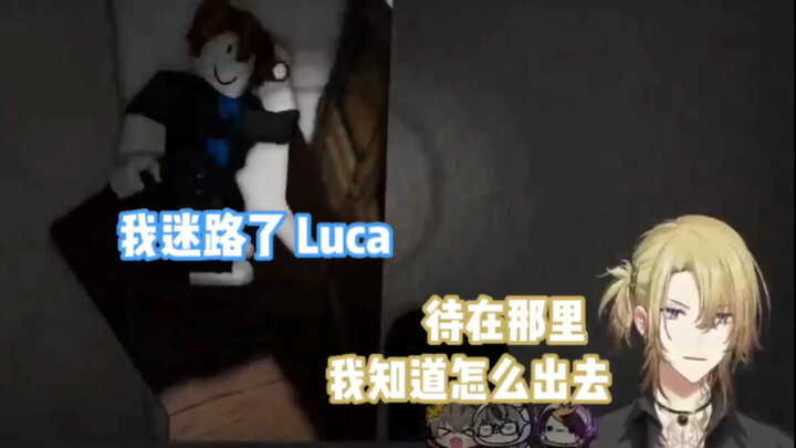 【熟/Luca/Ike】当猫猫迷路时可能需要一只金毛