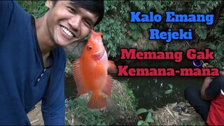 Mancing Sore Makin Seru