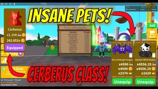 GETTING CERBERUS CLASS AND TRYING TO GET THE NUMBER 1 RANK IN COINS IN SABER SIMULATOR
