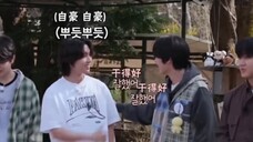 【straykids/旻城】韩叽怂:唯一能读懂四次元猫猫的人出现了!!!