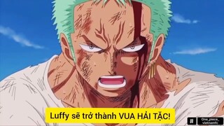 niềm tin mà các thành viên trao cho thuyền trưởng Luffy