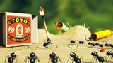 To Protect The Sugar Cubes From An Evil Troop Of Red Ants Blacks Ants Use Firecrackers To Blast Them