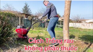 Làm vườn ở pháp/cách trông rau tươi tốt không cần phân thuốc/ Cathy gerardo cuộc sống pháp