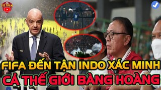 FiFa Đến Tận Indo Xác Minh, Cả Thế Giới Bàng Hoàng Vì Sự Thật, Chủ Tịch PSSI Lãnh Đủ